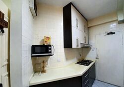 Bayshore Park (D16), Condominium #557033531
